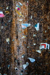 Disconnected scraps of paper pinned to a panel.